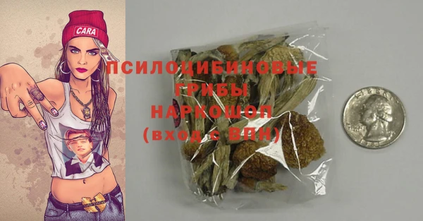 соль курить ск Горняк
