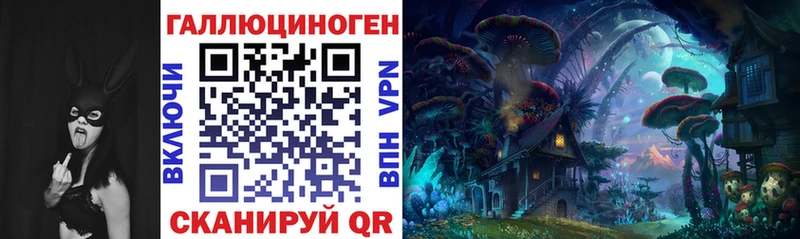Псилоцибиновые грибы Cubensis Сосновый Бор