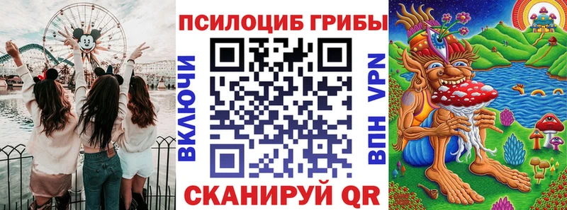 Купить где  Сосновый Бор  Галлюциногенные грибы Magic Shrooms 